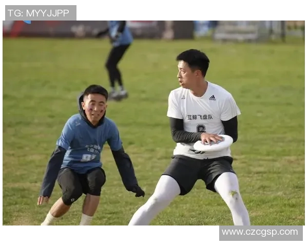 北京飞盘队的转型之路与未来发展展望重磅专题分析 北京飞盘队的转型之路与未来发展展望重磅专题分析