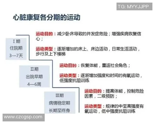 以球技提升为核心，探索不同运动项目中的技巧与训练方法