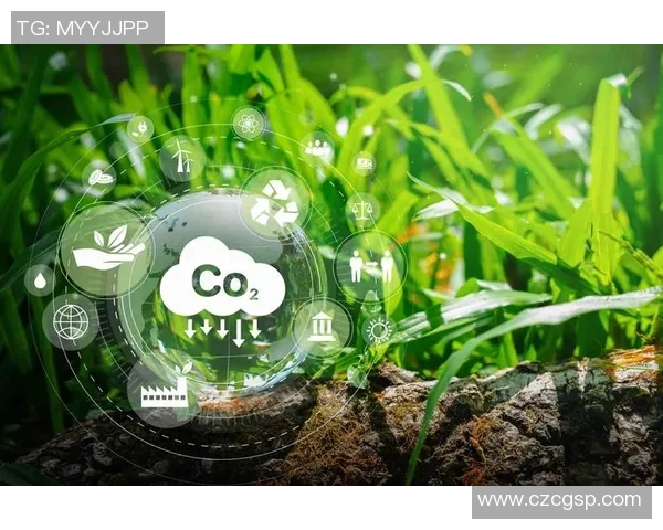 全球气候变化加剧 各国加速应对绿色转型政策落实