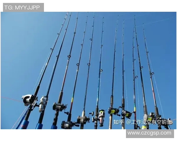 渔具的选择与使用技巧:从新手到高手的全面指南 渔具的选择与使用技巧:从新手到高手的全面指南